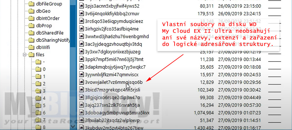 Struktura souborů na externím NAS úložišti WD My Cloud